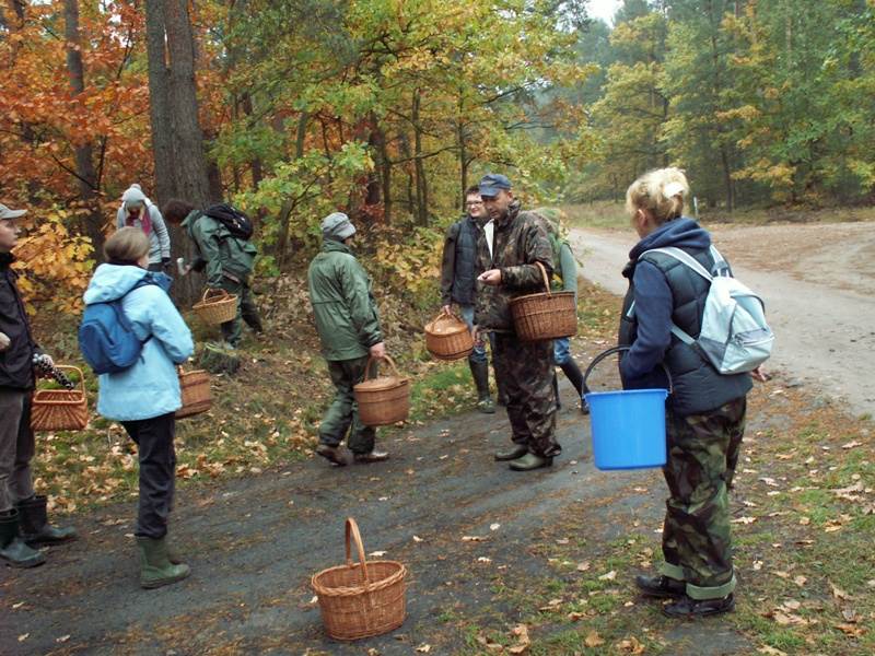 I Łódzko-Warszawskie spotkanie grzybowe — Puszcza Bolimowska 2012