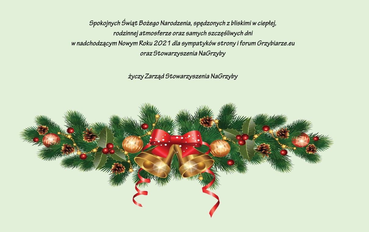 Święta Bożego Narodzenia Święta Bożego Narodzenia