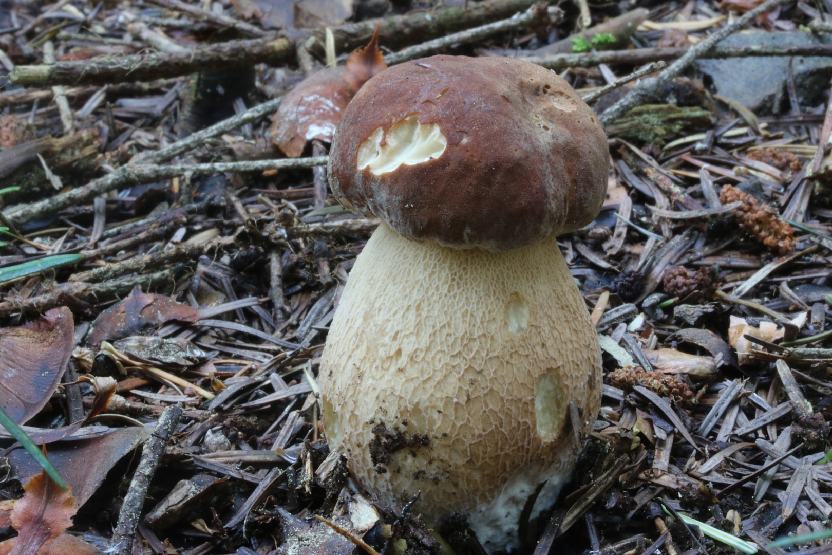 Spotkanie w Pagorzynie