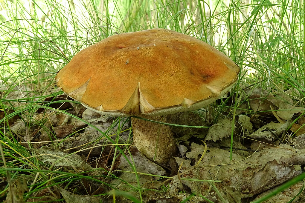 Sobotnia wyprawa Jacka