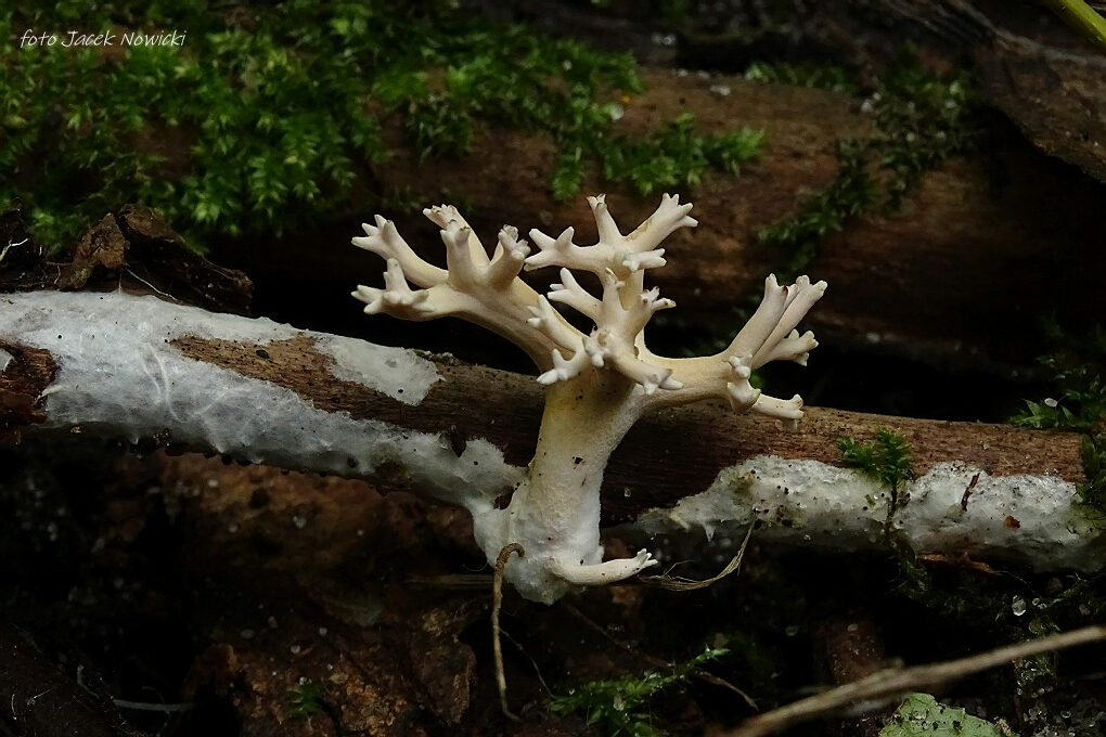 Tak było w miniony weekend Tak było w miniony weekend