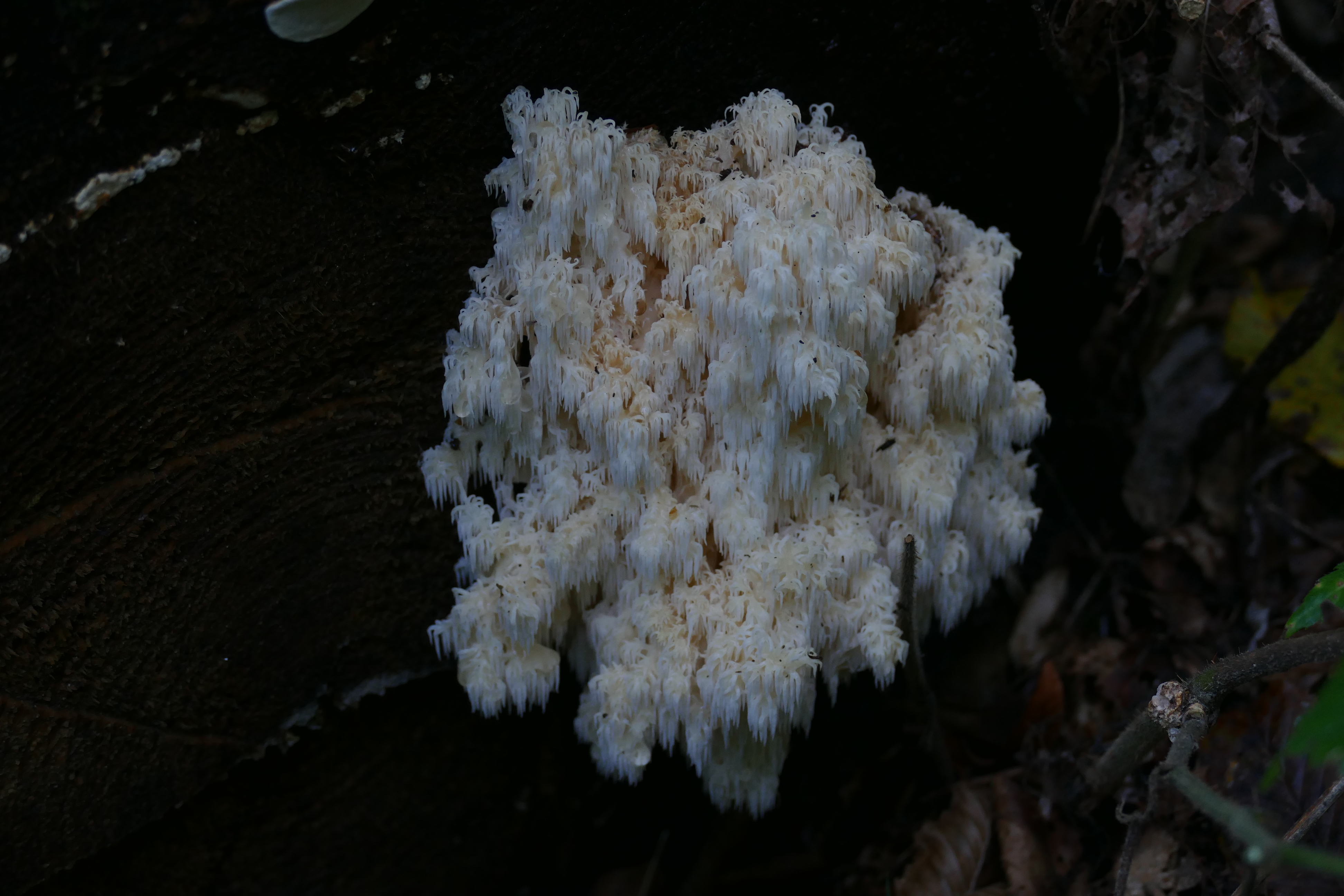 Eksploracja leśno łąkowa Eksploracja leśno łąkowa